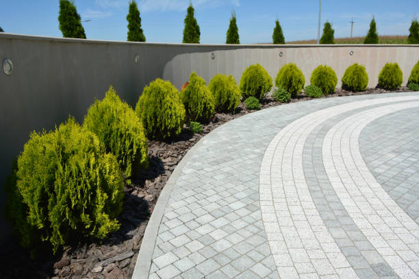 Best Decorative Driveway Pavers  in Rio Vista, CA